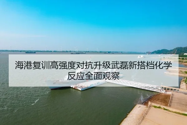 海港复训高强度对抗升级武磊新搭档化学反应全面观察
