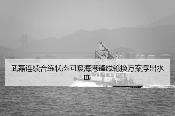武磊连续合练状态回暖海港锋线轮换方案浮出水面